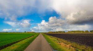 Eindelijk meer duidelijkheid voor piekbelasters: regelingen voor boeren bekendgemaakt