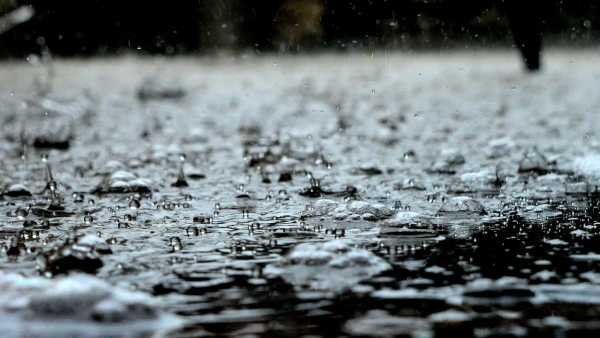 Waterschap De Dommel over aanhoudende regen: &#039;De spreekwoordelijke emmer is vol&#039;
