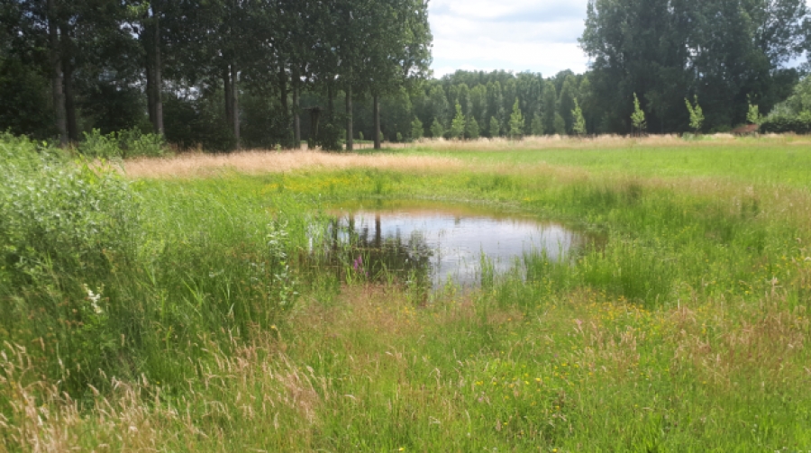 Ecologische Verbindingszone Groote Waterloop klaar: excursie op 15 november